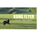 KONG Flyer (Small) 狗飛碟 (S)